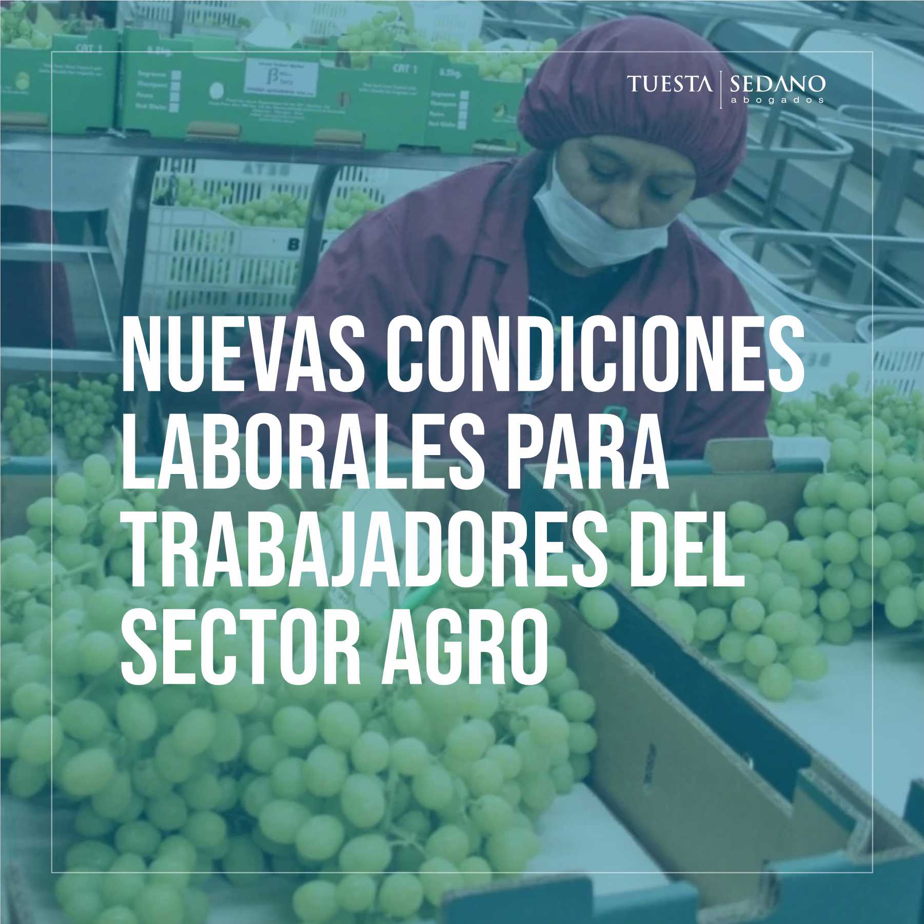 CONDICIONES AGRO-INSTA