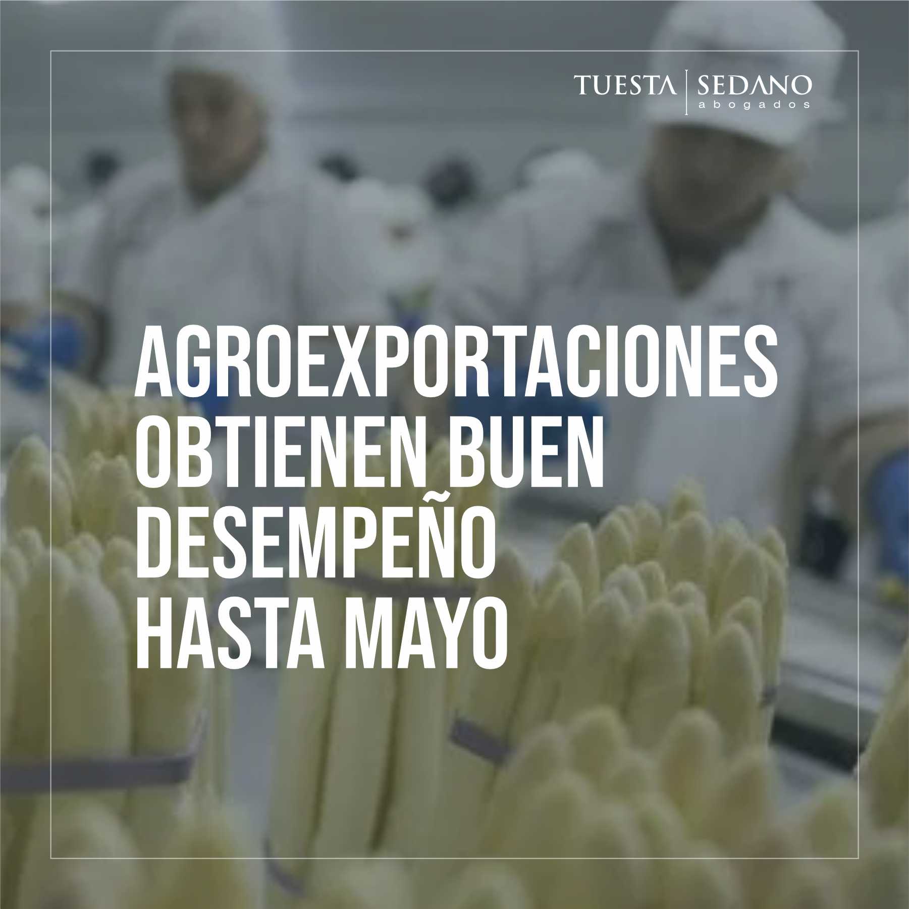 INSTAAGROEXPORTACIONES