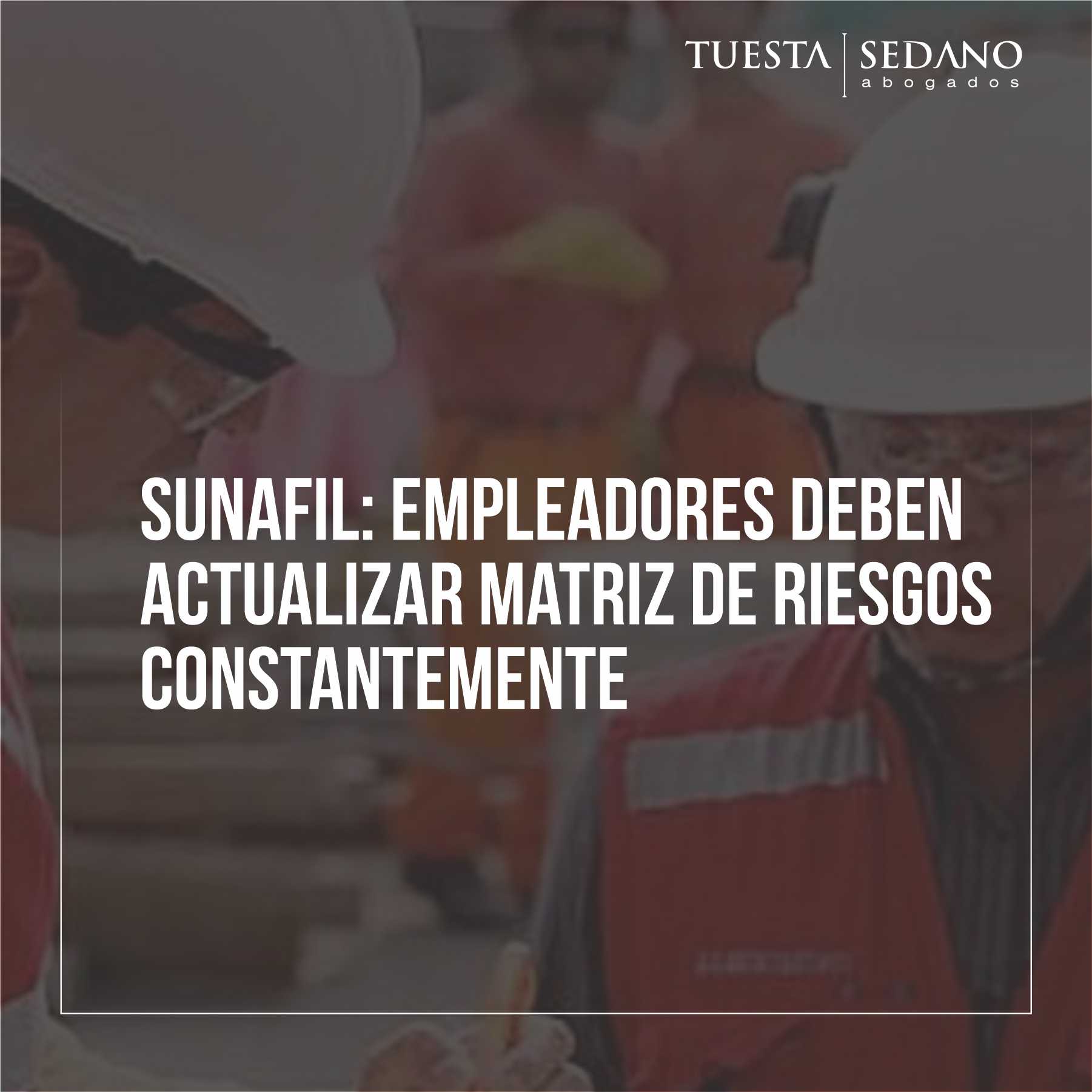 SUNAFIL MATRIZ DE RIESGOS-insta2