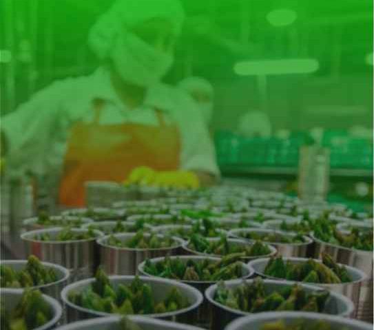 Derecho preferencial de contratación régimen agrario